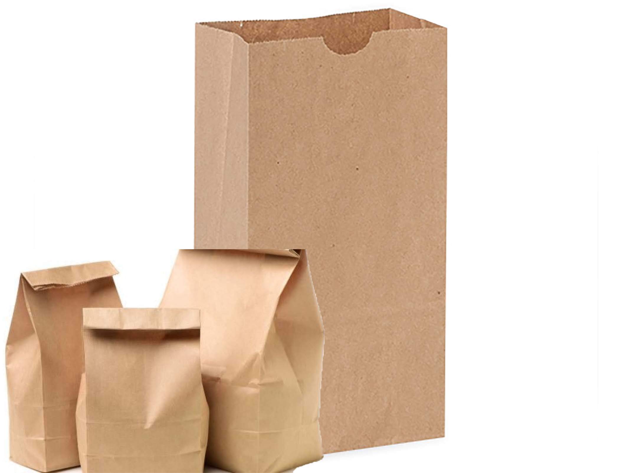Eco-Friendly 6 lb Recycled Kraft Paper Lunch Bags - Pack of 500 Brown Sandwich & Party Bags | Bulk Disposable Food Containers for School, Picnics & Catering