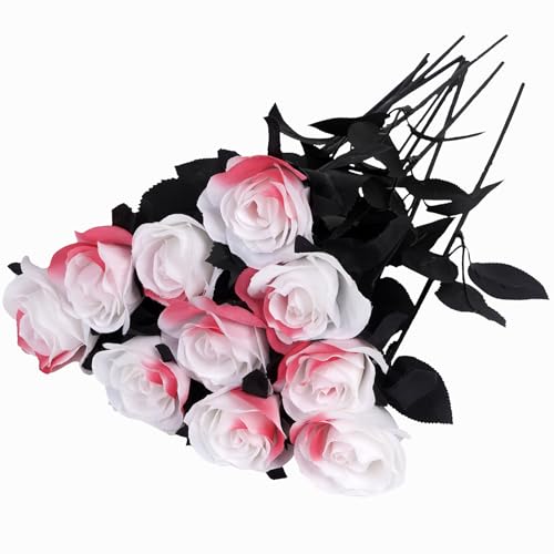 White & Red(rose)
