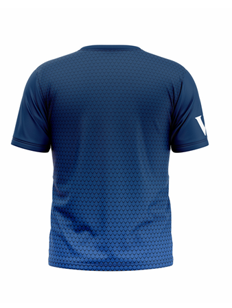 DBV Men's Workout T-Shirt - Breathable Quick Dry Fitness Shirt for Gym, Running & Training - Comfortable Activewear for Men