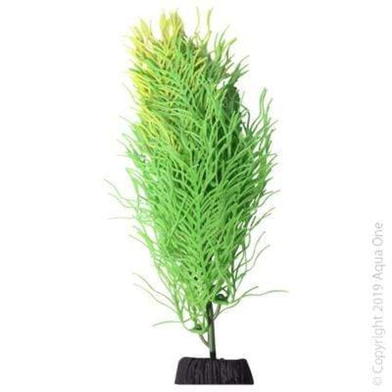 Aqua One Flexiscape Medium Hornwort Green Aquatic Plant - 19cm for Freshwater Aquariums & Fish Tanks - Perfect for Aquascaping, Oxygenation, and Natural Habitat