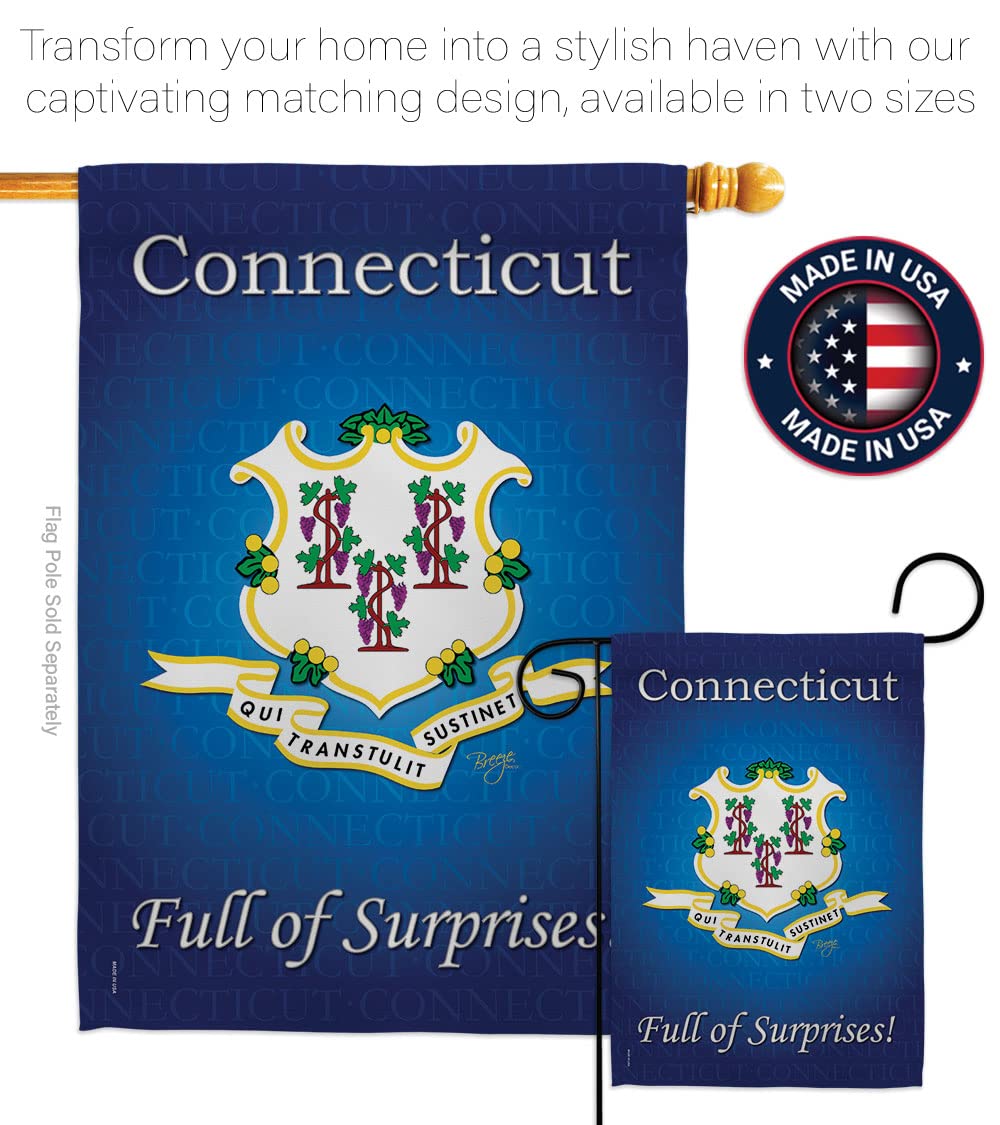 Connecticut Americana House Flag Set 28x40