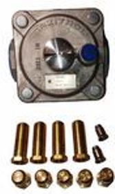 LP to Natural Gas Conversion Kit for 60