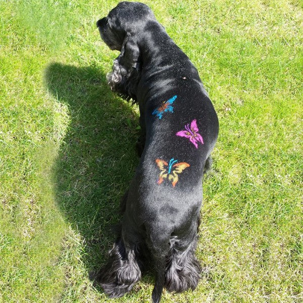 Yellow Pet Hair Chalk (TC08) - Temporary Pet Fur Color for Dogs & Cats - Perfect for Pet Parties, Halloween Costumes & Photo Shoots