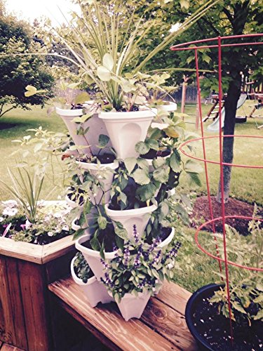 12 Large Stackable Planters for Strawberries, Vegetables, Herbs & Lettuce - Mr Stacky Vertical Gardening Pots for Soil, Hydroponics & Aquaponics - Indoor/Outdoor Stacking Container Garden System (12-Pack, Stone) - Perfect for Small Spaces, Balconies & Urban Farming