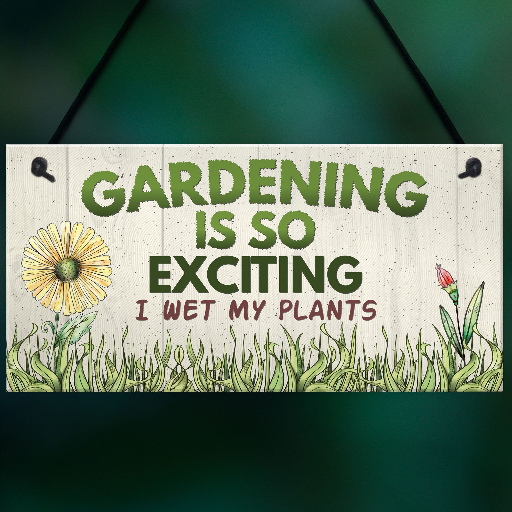 Funny Gardening Hanging Sign - Novelty Plaque for Garden Decor & Friendship Gift - Perfect for Outdoor Garden, Patio, or Backyard Decoration