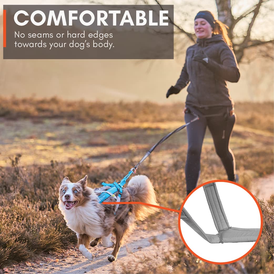 Non-Stop Dogwear Freemotion Harness 5.0 - Adjustable No-Pull Dog Harness for Running, Biking & Skiing | Reflective & Padded for Comfort | Blue/Gray Size 8 | Perfect for Active Dogs & Outdoor Adventures