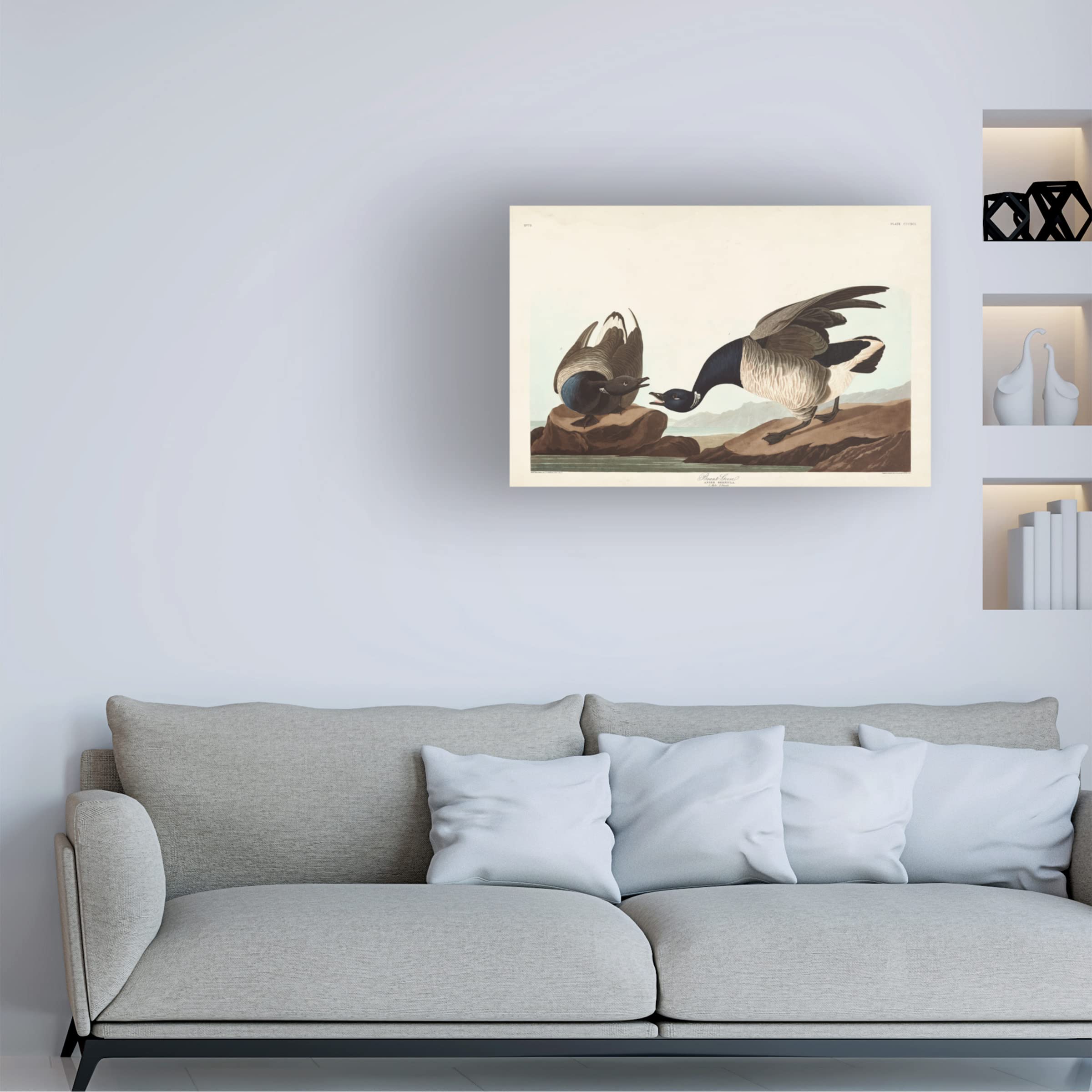 John James Audubon Brant Goose Canvas Art Print - 16x24 Inch Wildlife Bird Painting - Perfect for Living Room, Bedroom & Office Wall Decor
