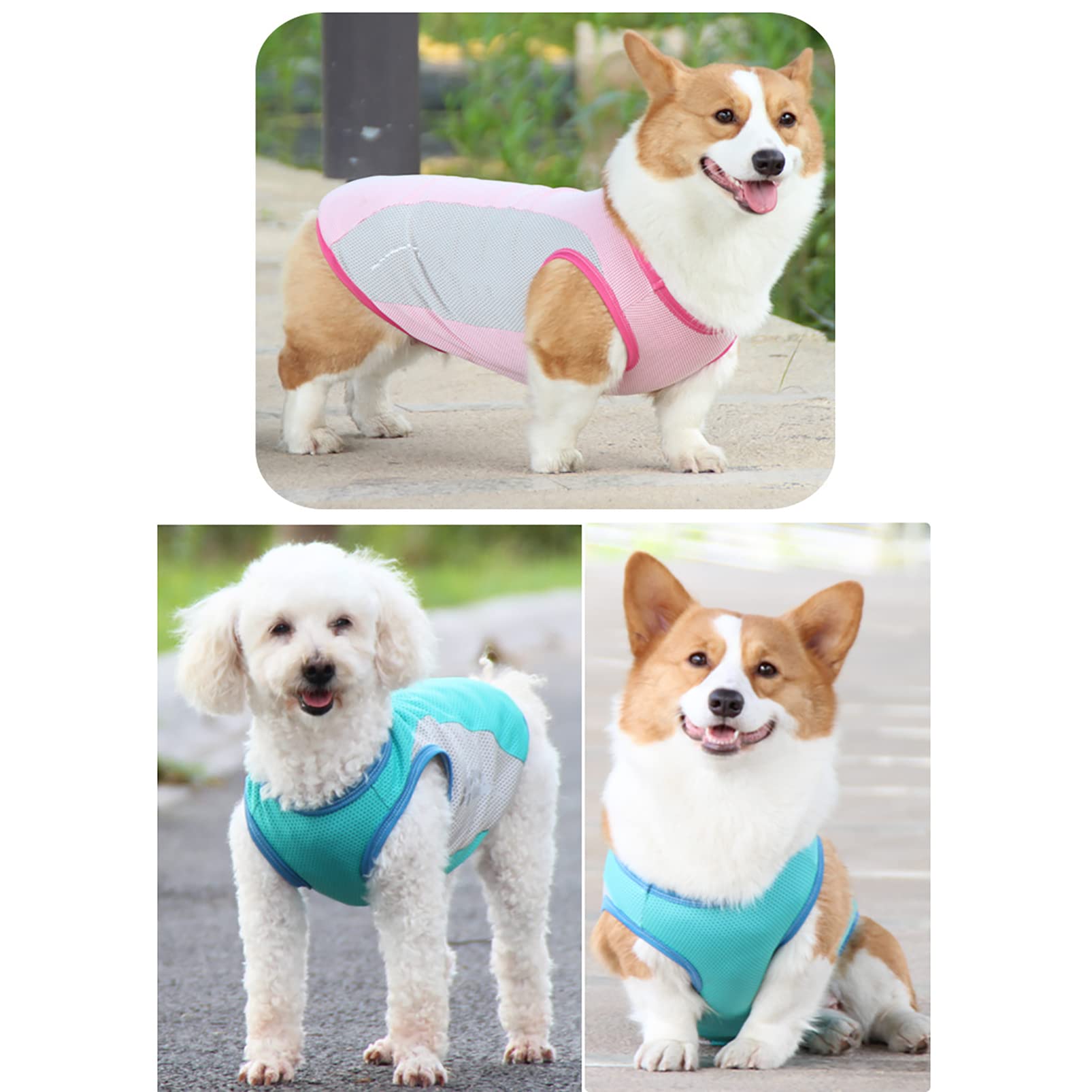 Dog Cooling Vest for Large, Medium & Small Dogs - Breathable & Instant Cooling Pet Vest for Walking, Hunting, Training & Outdoor Activities | Perfect for Summer, Hiking & Hot Weather