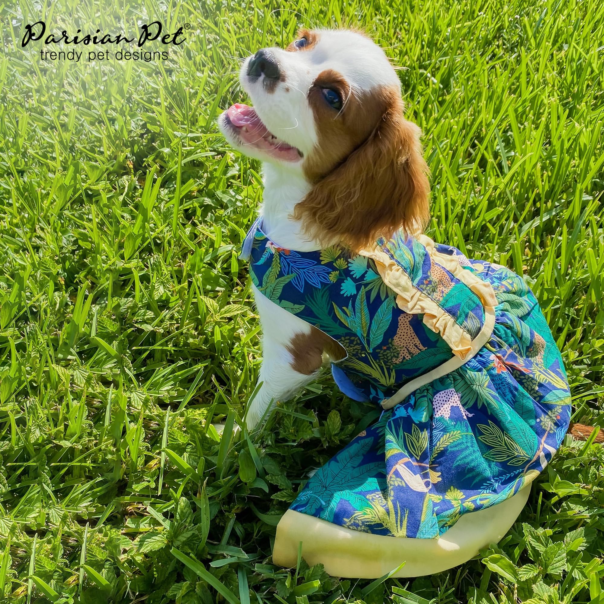 Magic Strap Closure Parisian Pet Amazonia Leafy Summer Dog Dress for Large Female Dogs - Perfect for Outdoor Adventures, Beach Trips & Summer Parties