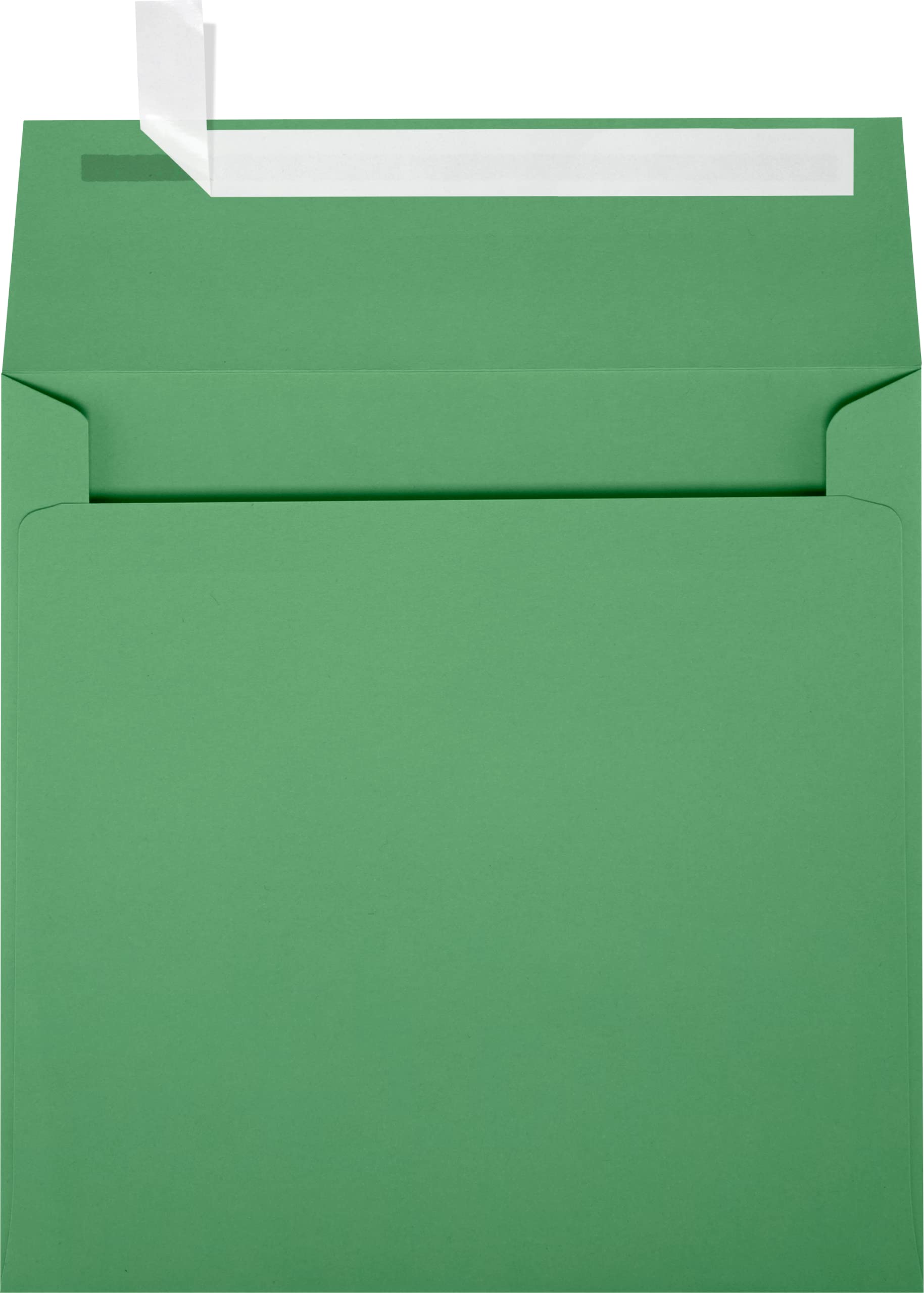 Premium LUXPaper Square Invitation Envelopes 6