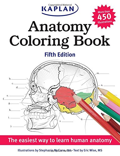 Anatomy Coloring Book for Adults & Students - Human Body Educational Learning Tool | Perfect for Medical Students, Nursing, and Anatomy Enthusiasts | Relaxing & Stress Relief Activity