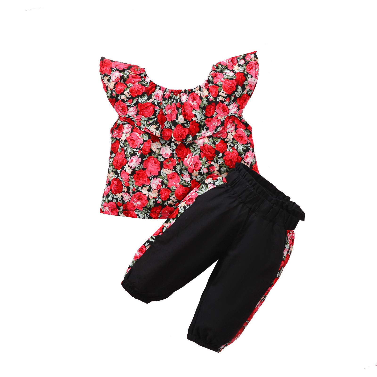 Floral Print Toddler Girls Outfit Set - Soft Cotton Ruffled Top & Pants with Fly Sleeves | Cute Spring Summer Playtime & Photo Shoot Outfits for Baby Girls 1-3 Years
