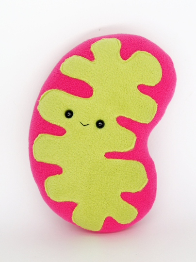 Mitochondria Plush Toy - Soft & Cute Science-Themed Stuffed Animal for Kids, Students & Biology Enthusiasts | Perfect for Gifts, Classroom Decor & Science Lovers