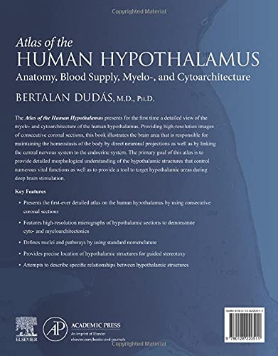 Atlas of the Human Hypothalamus - Comprehensive Brain Anatomy Reference Guide for Medical Students & Neuroscience Research | Perfect for Neurology Studies & Healthcare Professionals
