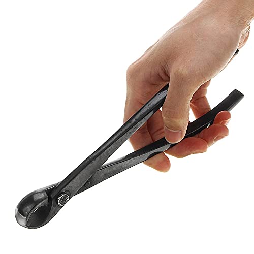 Premium 210mm Round Edge Bonsai Cutter - Multi-Function Branch & Knob Trimmer for Gardening, Pruning, and Shaping - Ideal for Beginners & Professionals | Perfect for Indoor Plants, Outdoor Gardens, and Bonsai Trees