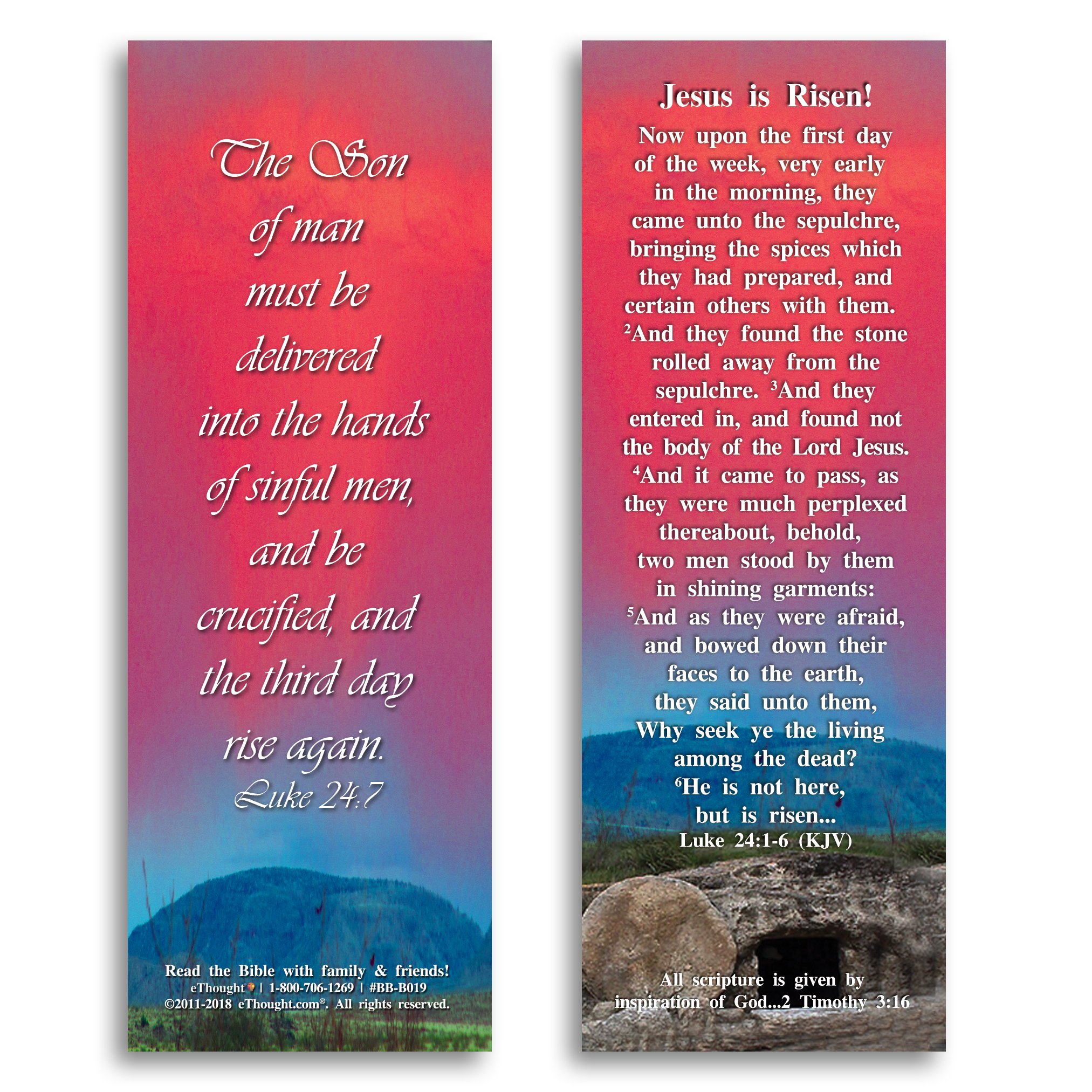 Jesus is Risen - Set of 25 Bible Reference Cards (2