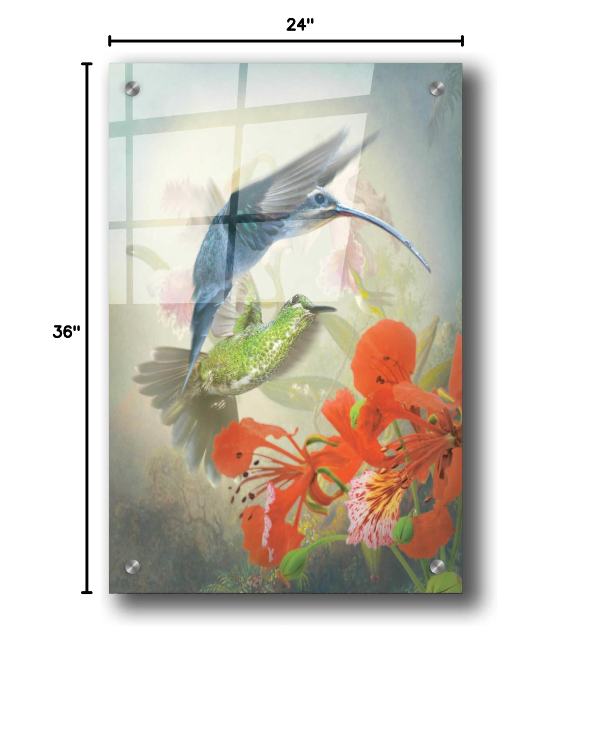 Epic Art 'Hummingbird Cycle II' by Steve Hunziker - Vibrant Acrylic Glass Wall Art 24x36 Inches - Modern Home Decor for Living Room, Bedroom & Office