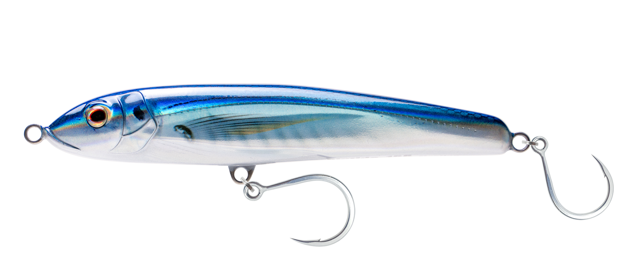 Blue Back Shad