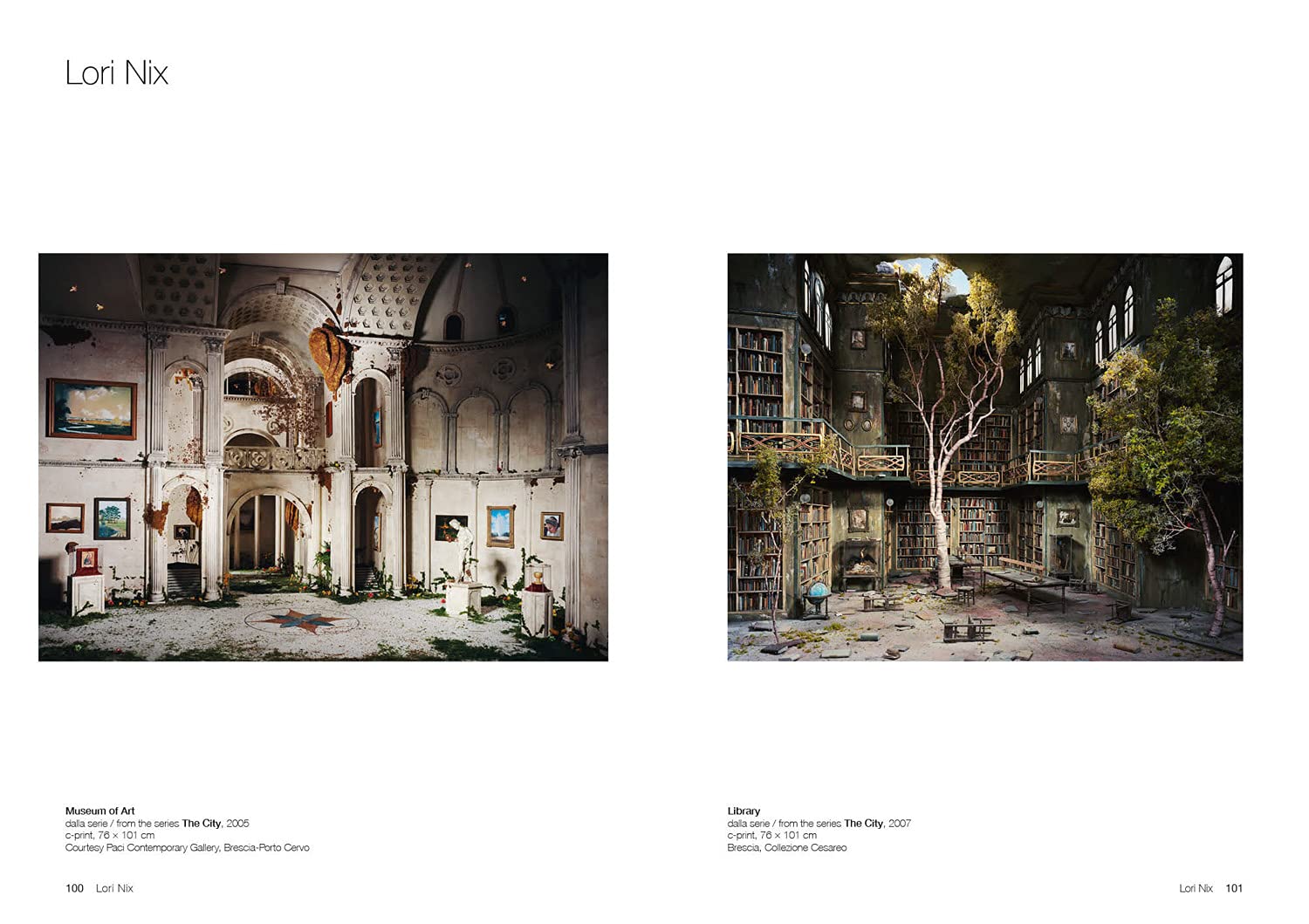 True Fictions: Visionary Photography Book 1970s to Present - Perfect for Art Collectors & Photography Enthusiasts