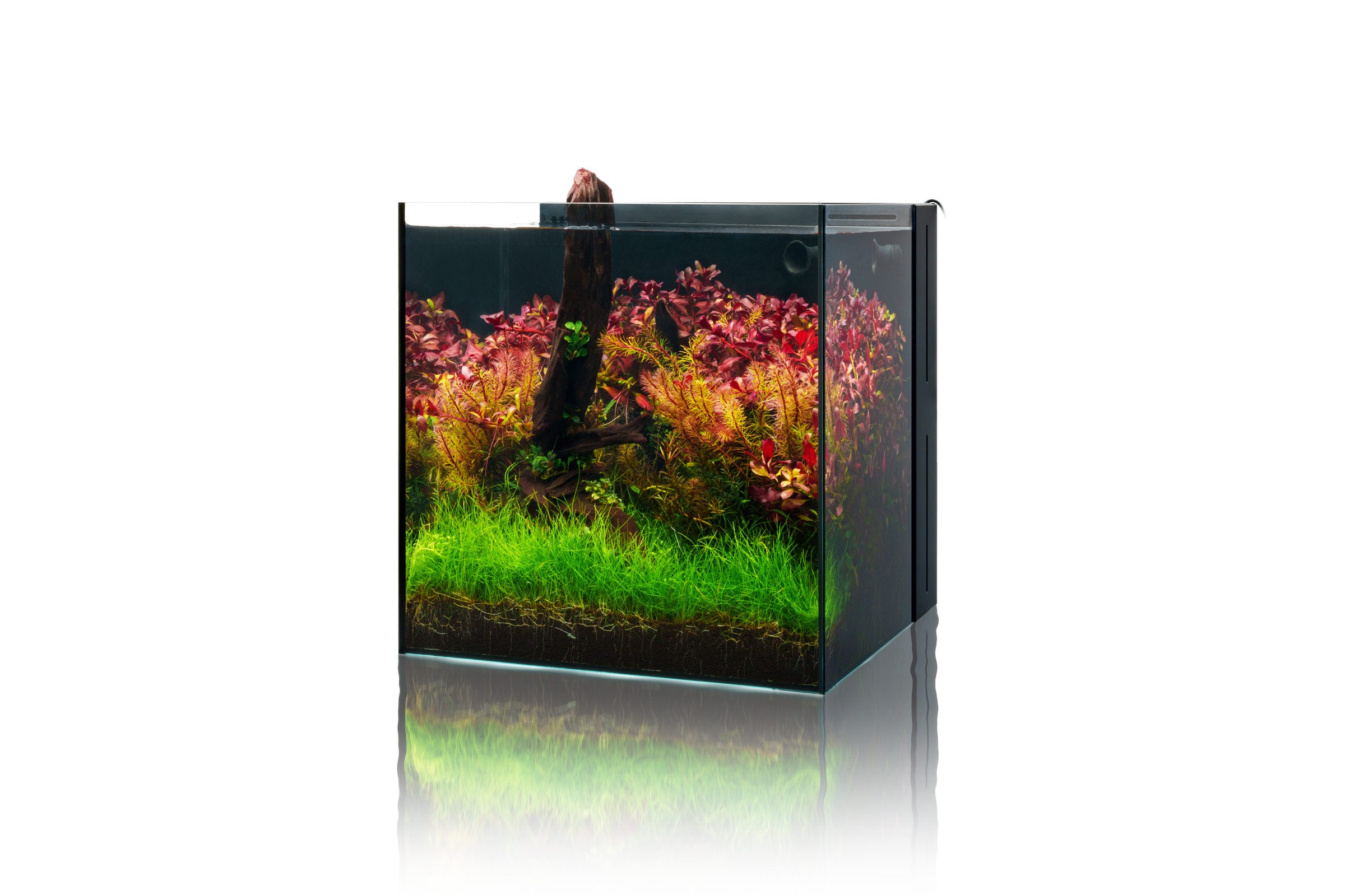 Premium UNS Dual All-in-One Glass Aquarium Tank - 5 Gallon Nano Fish Tank with Built-in Filtration System - Perfect for Home, Office, or Classroom Aquascaping and Small Fish Keeping