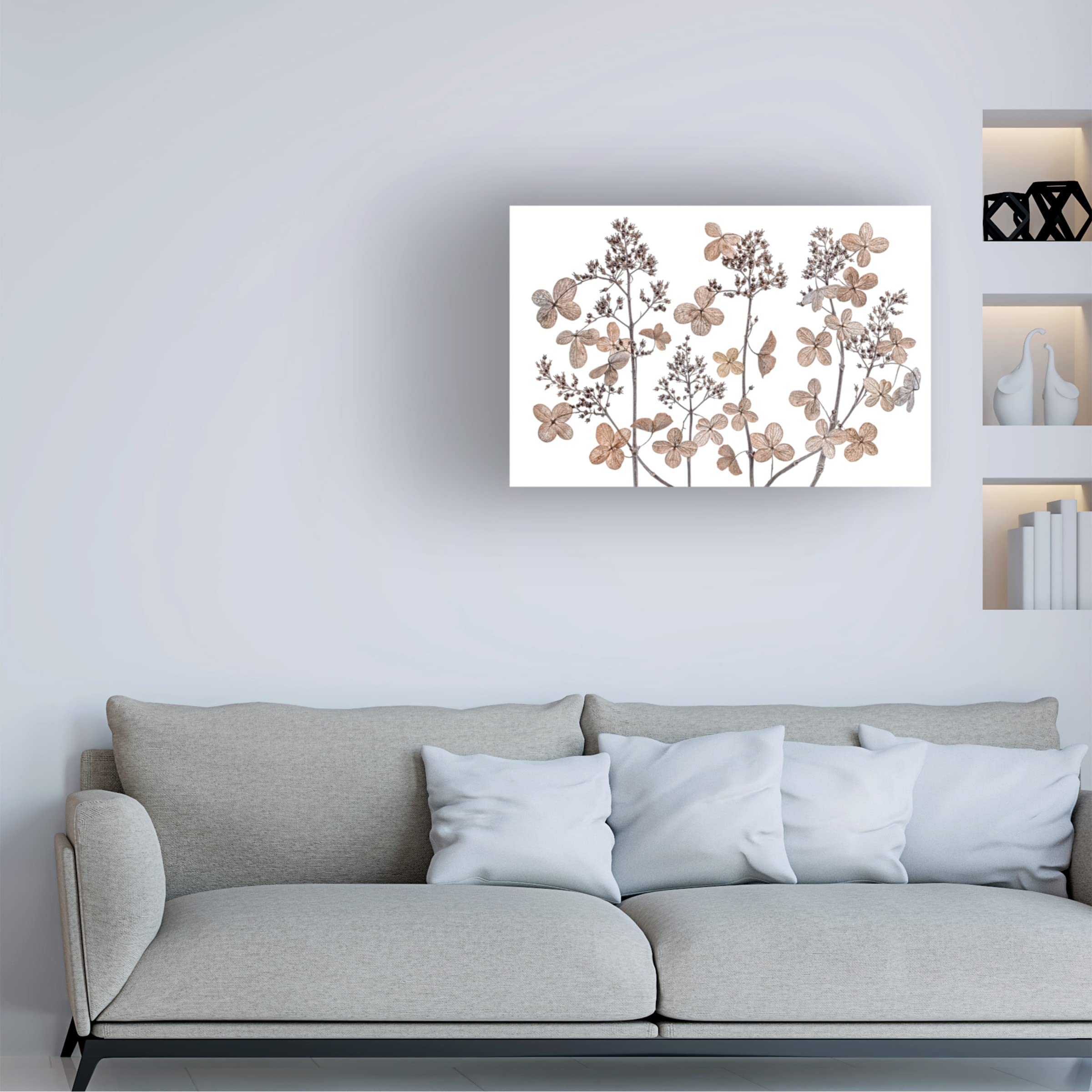 Trademark Fine Art 'Hydrangea Paniculata' Floral Canvas Wall Art by Mandy Disher - Perfect for Living Room, Bedroom & Office Decor