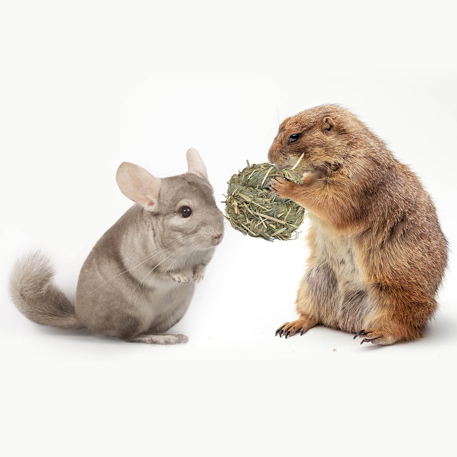 Premium Natural Timothy Hay Play Ball for Small Pets - Chew Toy for Rabbits, Guinea Pigs & Hamsters - Fun Enrichment Activity for Cage Playtime & Exercise