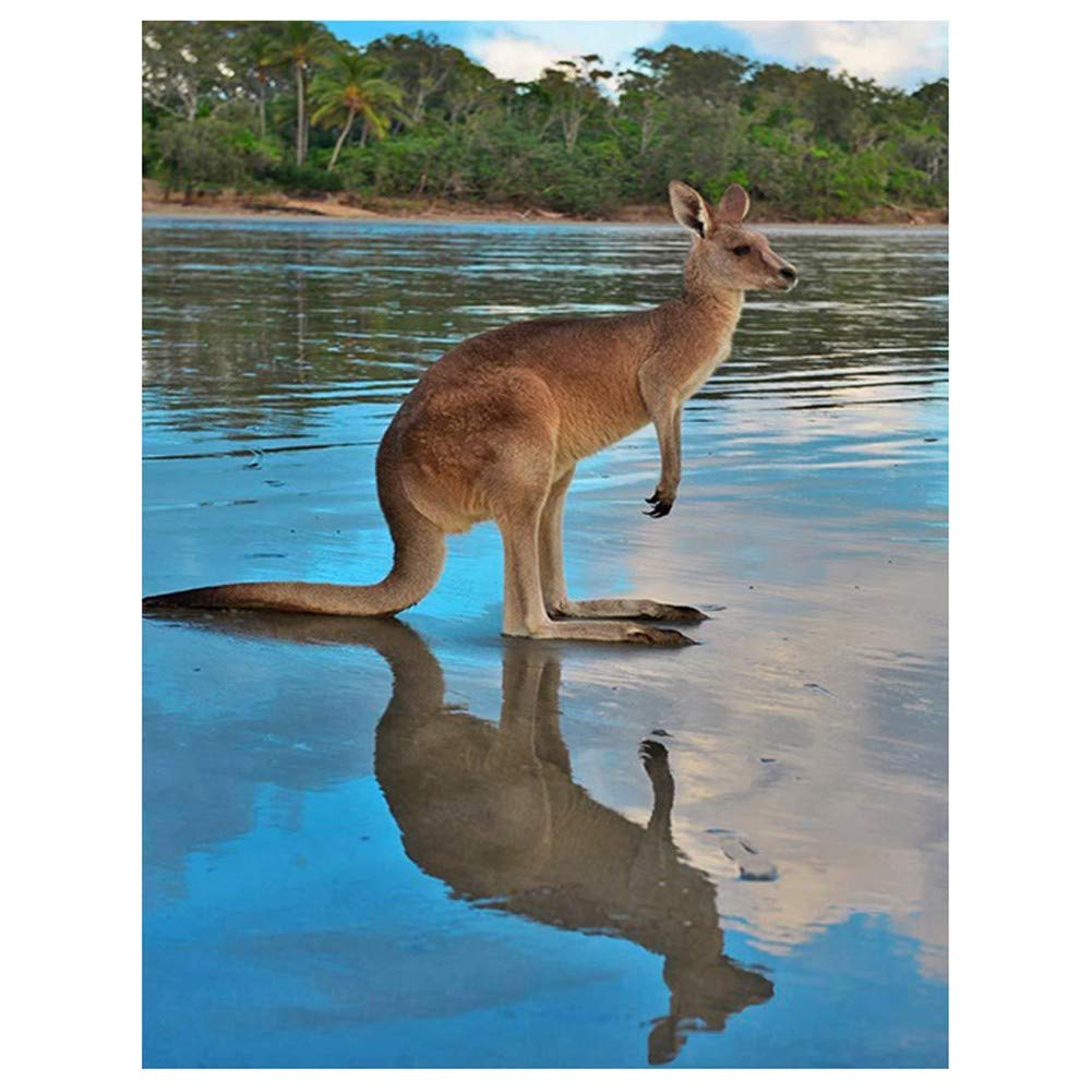 5D Diamond Painting Kit - Large Kangaroo DIY Art (80x160cm/32x64in) - Complete Crystal Rhinestone Cross Stitch Set for Adults & Kids - Home Wall Decor & Gift Idea - Perfect for Relaxation, Stress Relief & Creative Hobbies