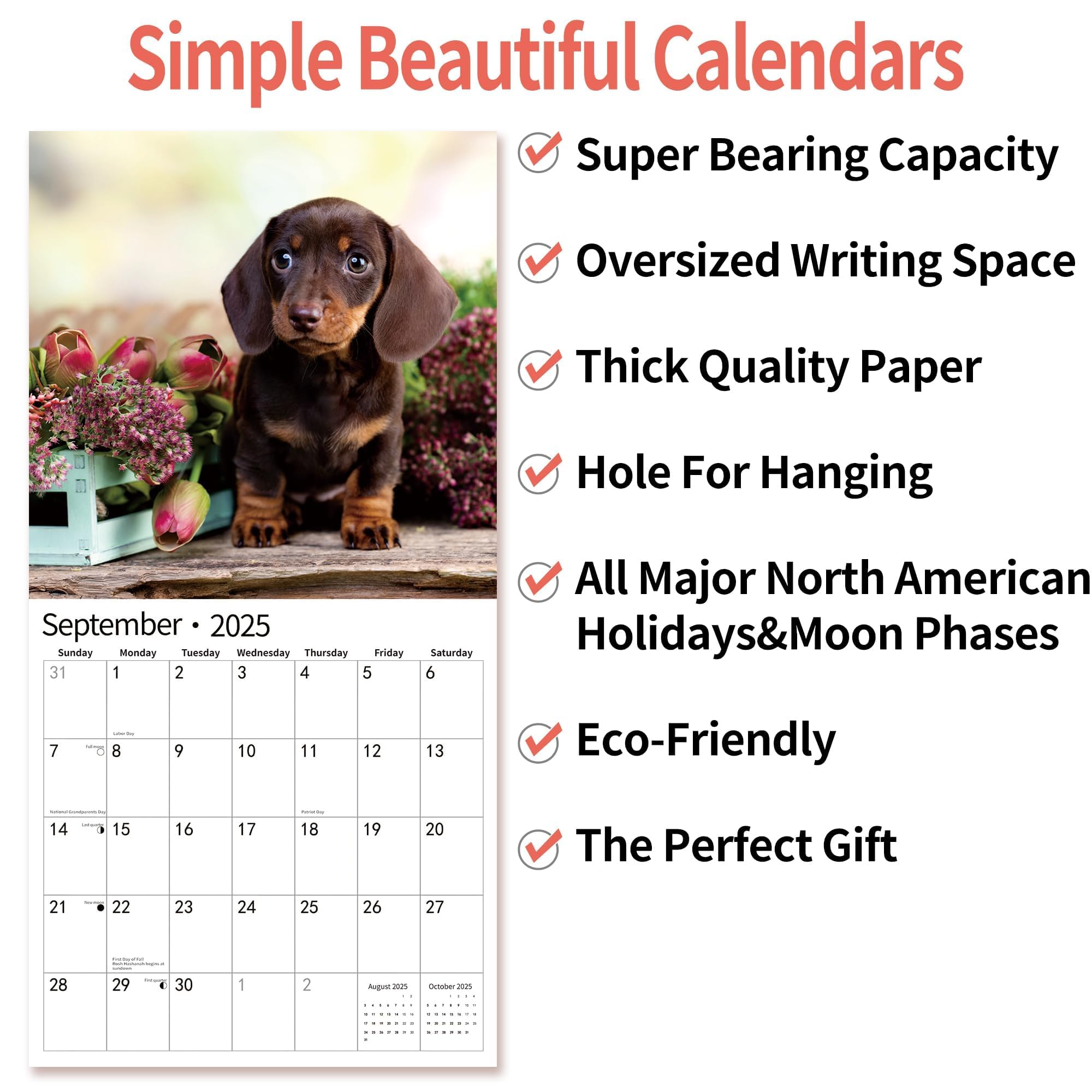 2025-2026 Wall Calendar with Dachshund Design | January 2025 to June 2026 | 12