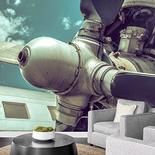 C49-2206-eva10
