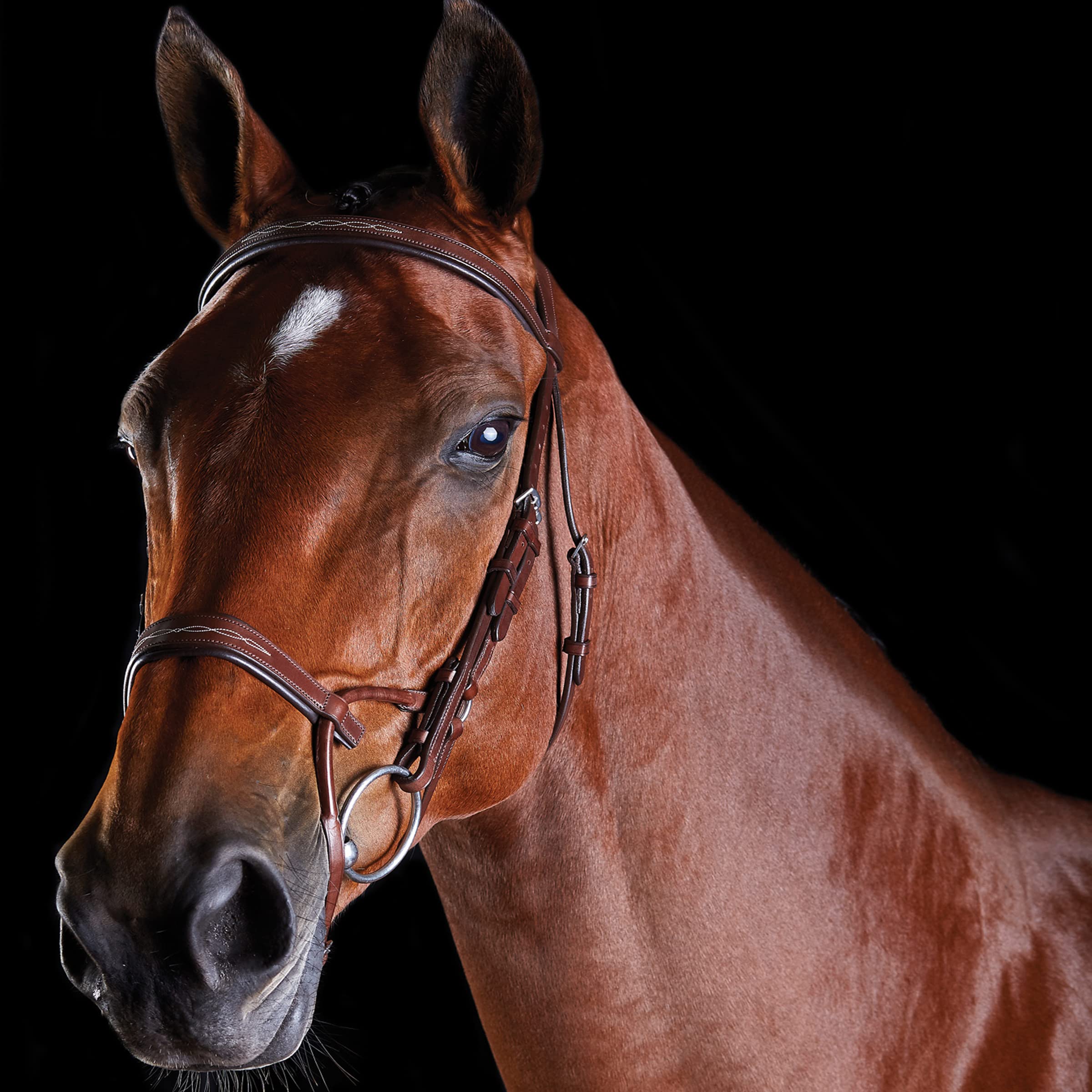 Premium ComFiTec Fancy Stitch Bridle for Horses - Genuine Leather, Brown, Warmblood Size - Comfortable Equestrian Headgear for Dressage, Jumping & Trail Riding