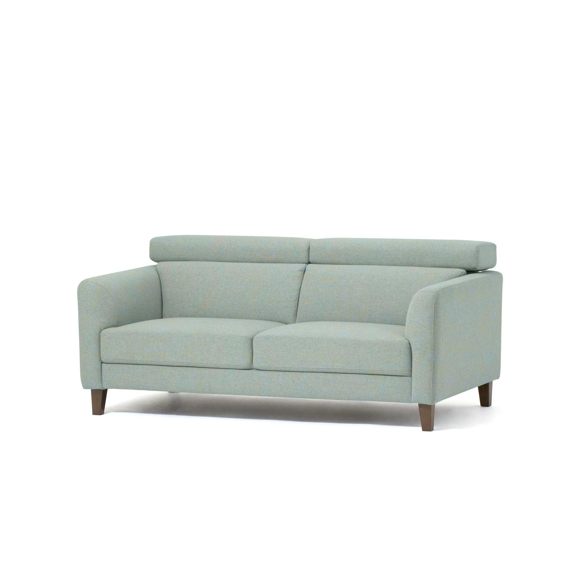 Aget 2-Seater Light Green Sofa - 67