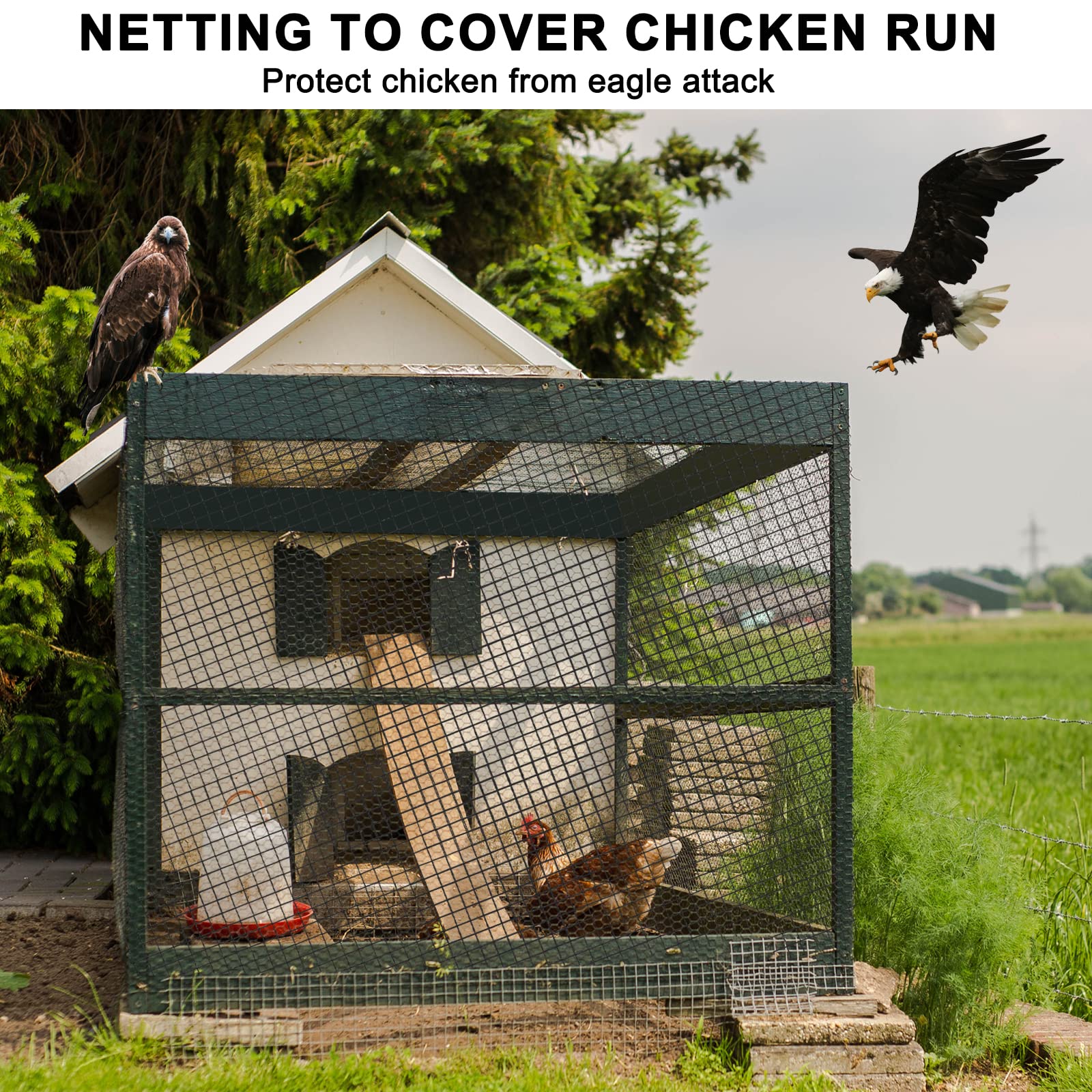 25'x50' Bird Netting - 3/4