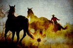 Wild Horses and Rancher