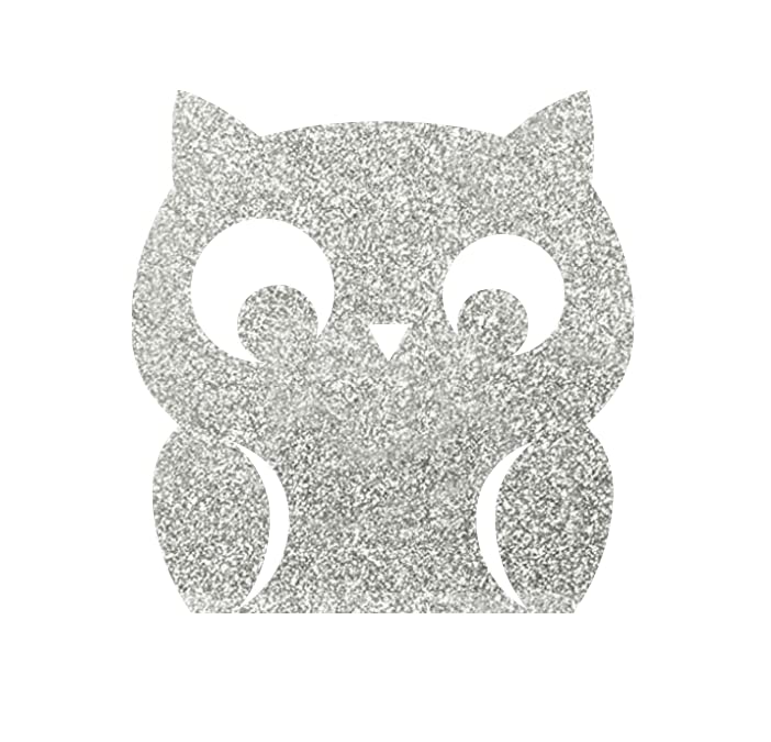 Silver Glitter