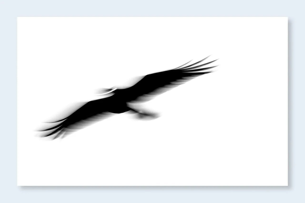 Fleeting Gestures Fine Art Photography Print by RJ Muna - Elegant Wall Decor for Living Room, Bedroom & Office