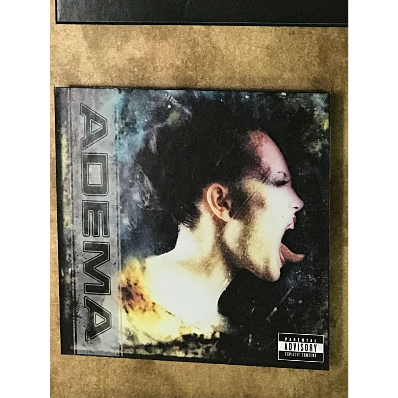 Adema Debut RIAA Gold Album Award - Certified Music Collectible for Fans & Memorabilia Enthusiasts | Perfect for Display in Music Rooms, Studios & Collections