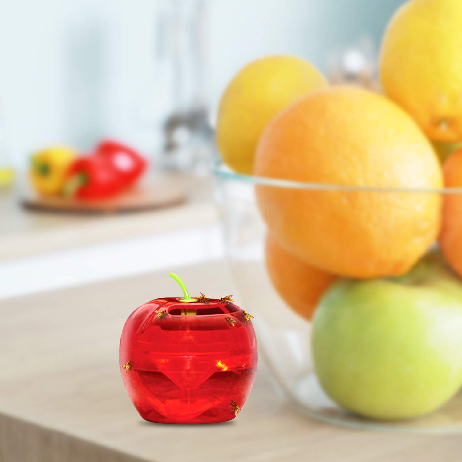 Raid Indoor Fruit Fly Traps with 2 Lures & 2 Refills - Safe Food-Based Fly Catcher for Kitchen, Bathroom - Effective Gnat Killer for Home Use | Easy to Use & Non-Toxic Fruit Fly Control Solution