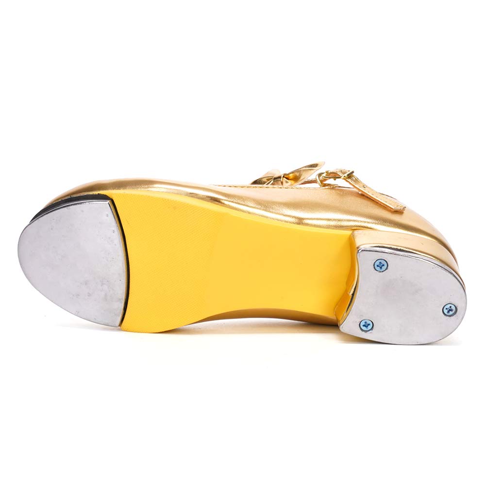 HROYL Kids Tap Shoes for Boys & Girls - TL208/258 for Dance & Performance