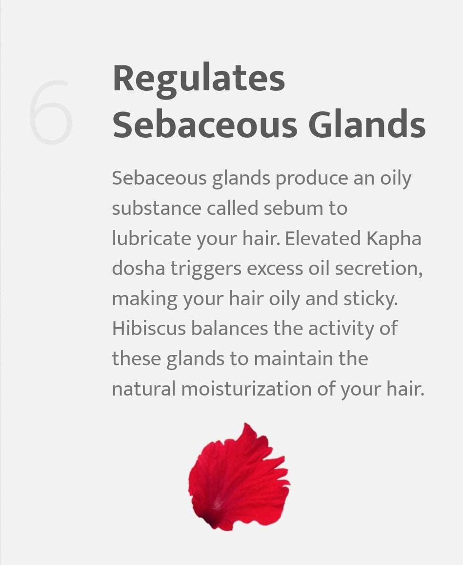 Organic Hibiscus Powder for Hair Growth & Scalp Care - 100g | Natural Ayurvedic Treatment for Dandruff & Hair Loss | DIY Hair Masks & Herbal Shampoo Boost - Parijata Herbs