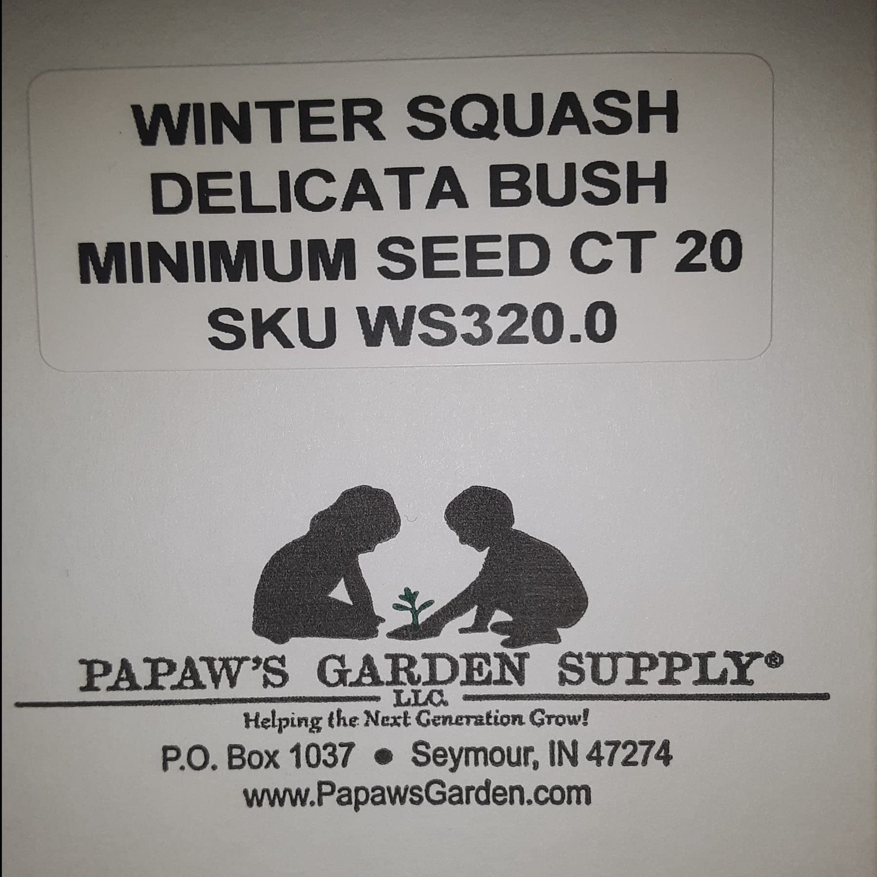 PAPAW'S GARDEN SUPPLY LLC Delicata Bush Winter Squash Seeds - 20 Count | Non-GMO, Heirloom Vegetable Seeds for Home Gardening, Fall Harvest & Organic Farming