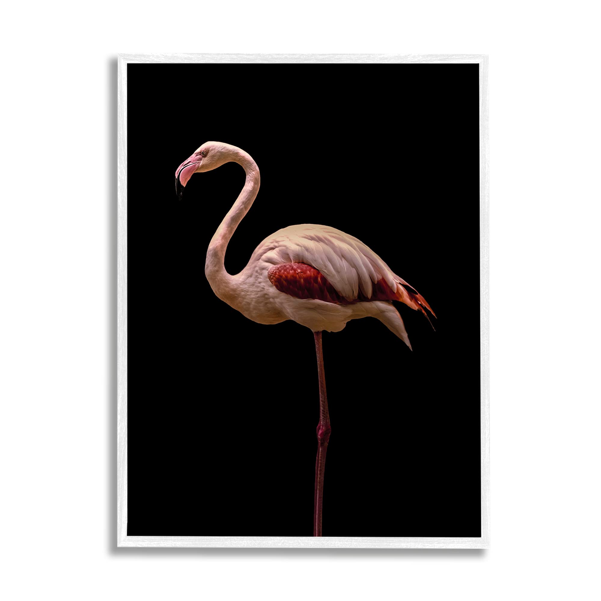 Stupell Industries Pink Flamingo Portrait - Detailed Wildlife Photography Wall Art by Incado | Perfect for Home Decor, Living Room & Bedroom Aesthetics