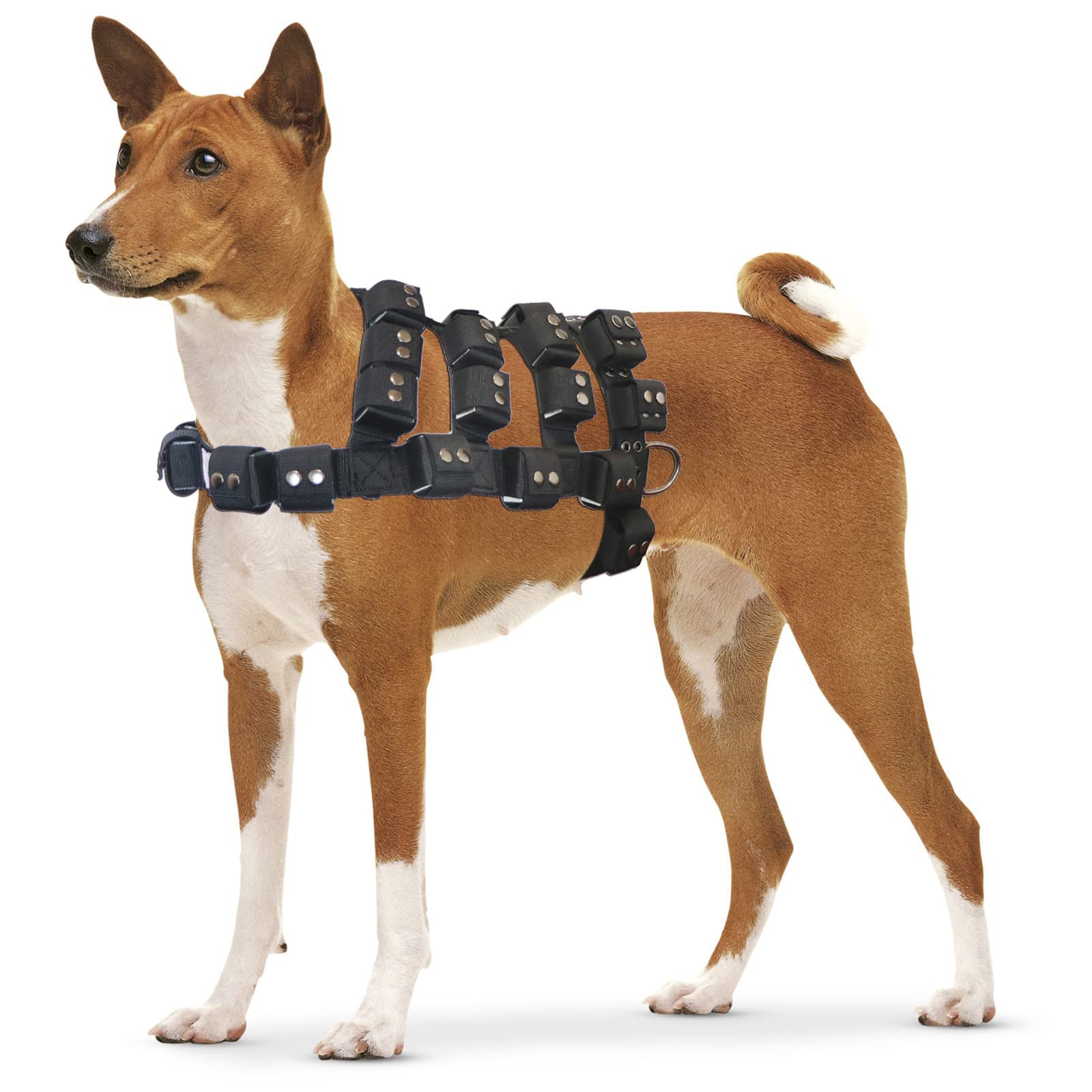 Adjustable Weighted Dog Vest Harness for Small, Medium & Large Dogs - No Pull Tactical Harness with Pockets for Pit Bulls | Weight Loss, Exercise & Muscle Training | Perfect for Walking, Hiking & Outdoor Adventures