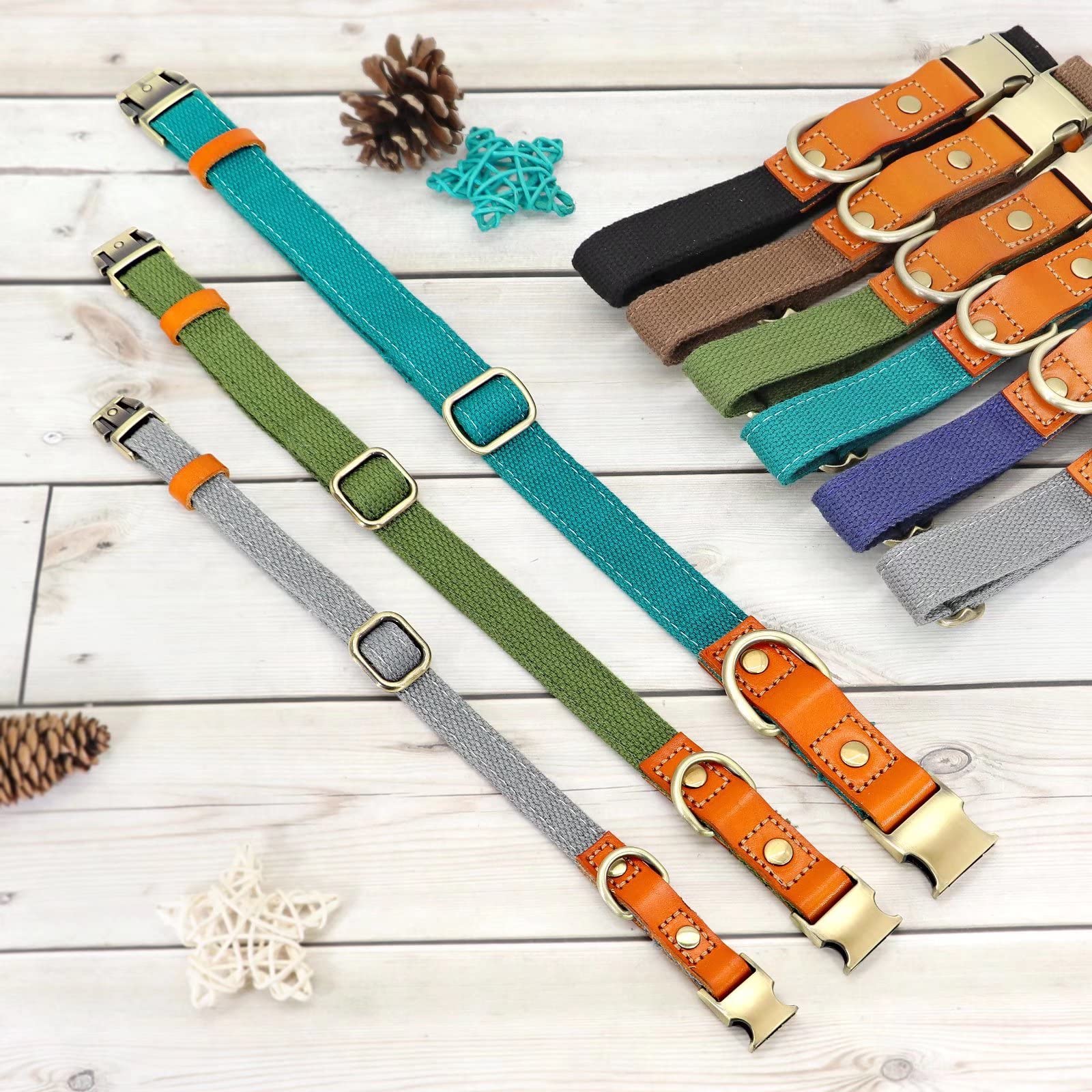 Durable Adjustable Dog Collar with Metal Buckle for Small, Medium & Large Dogs - Green Size M | Perfect for Daily Walks, Training & Outdoor Adventures
