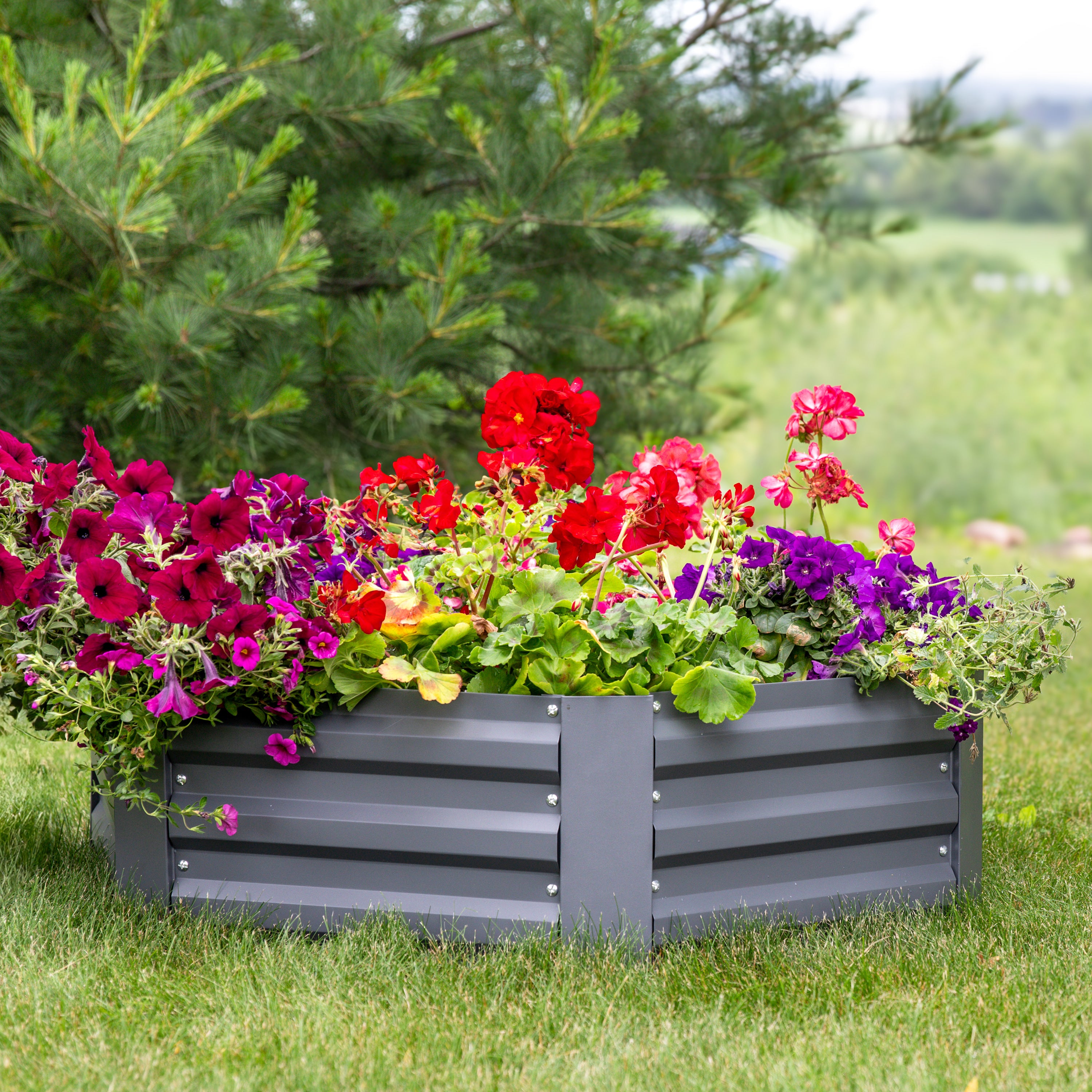 Galvanized Steel Hexagon Raised Garden Bed Kit - 12.25 Inch Height for Outdoor Gardening, Flowers & Vegetables - Durable Metal Planter Box for Patio, Backyard & Urban Farming