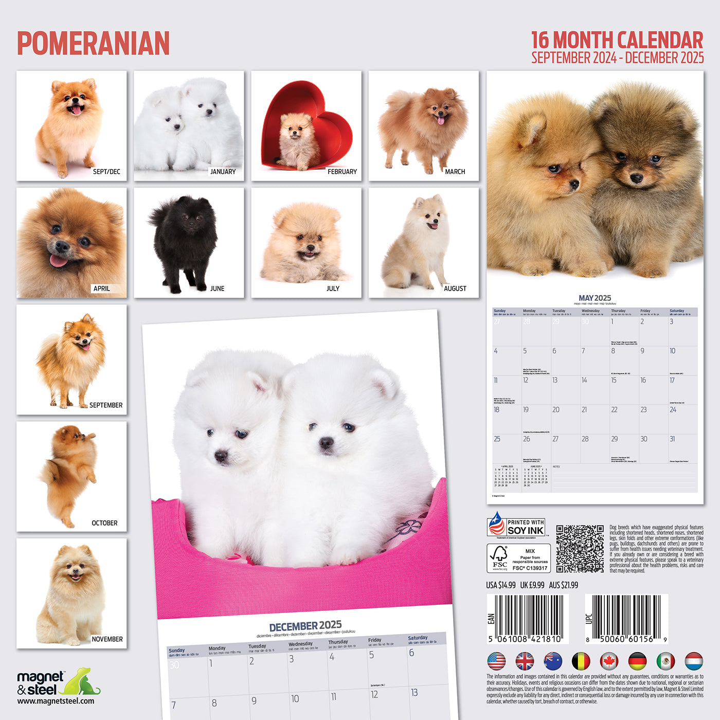 2025 Pomeranian Dog Breed Wall Calendar - Modern Monthly Planner for Dog Lovers | Perfect for Home, Office & Gift Giving