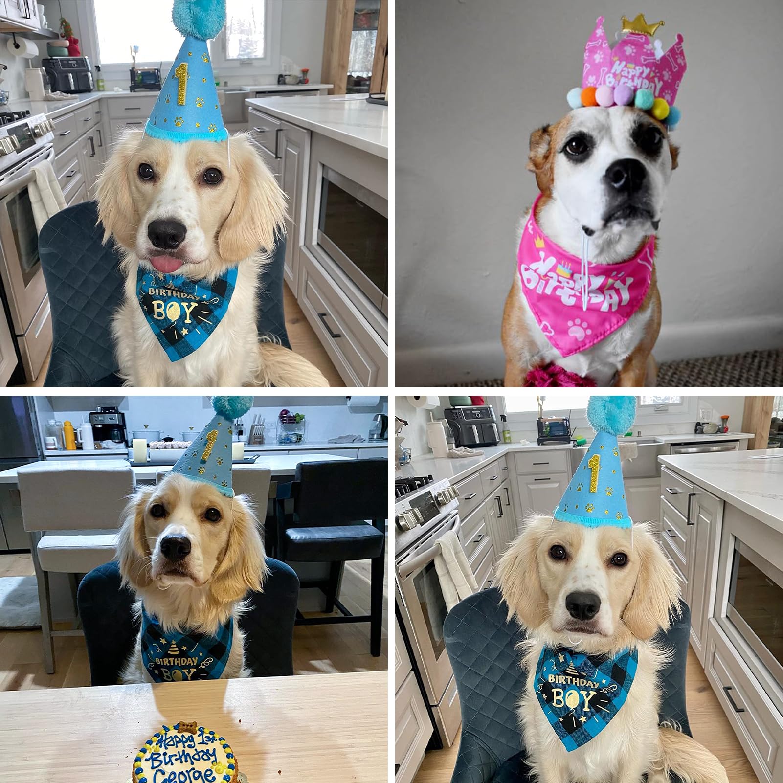 Dog Birthday Party Supplies Set - Cute Dog Bandana & Birthday Hat with Age Number, Triangle Scarf for Small & Medium Dogs | Perfect for Birthday Decorations, Pet Celebrations & Photo Shoots