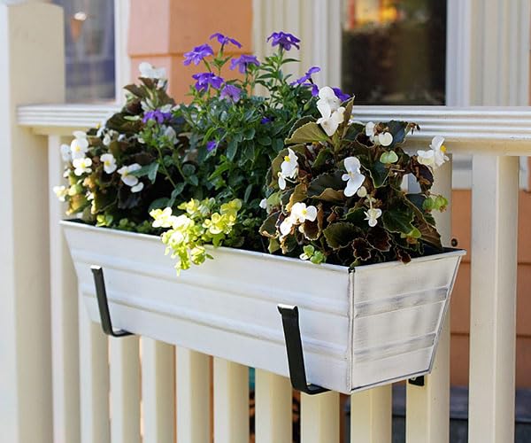 6 Inch Wide Flower Box Brackets - Heavy Duty Metal Hangers for Window Planters - Set of 4 - Perfect for Balcony, Porch & Garden Decor