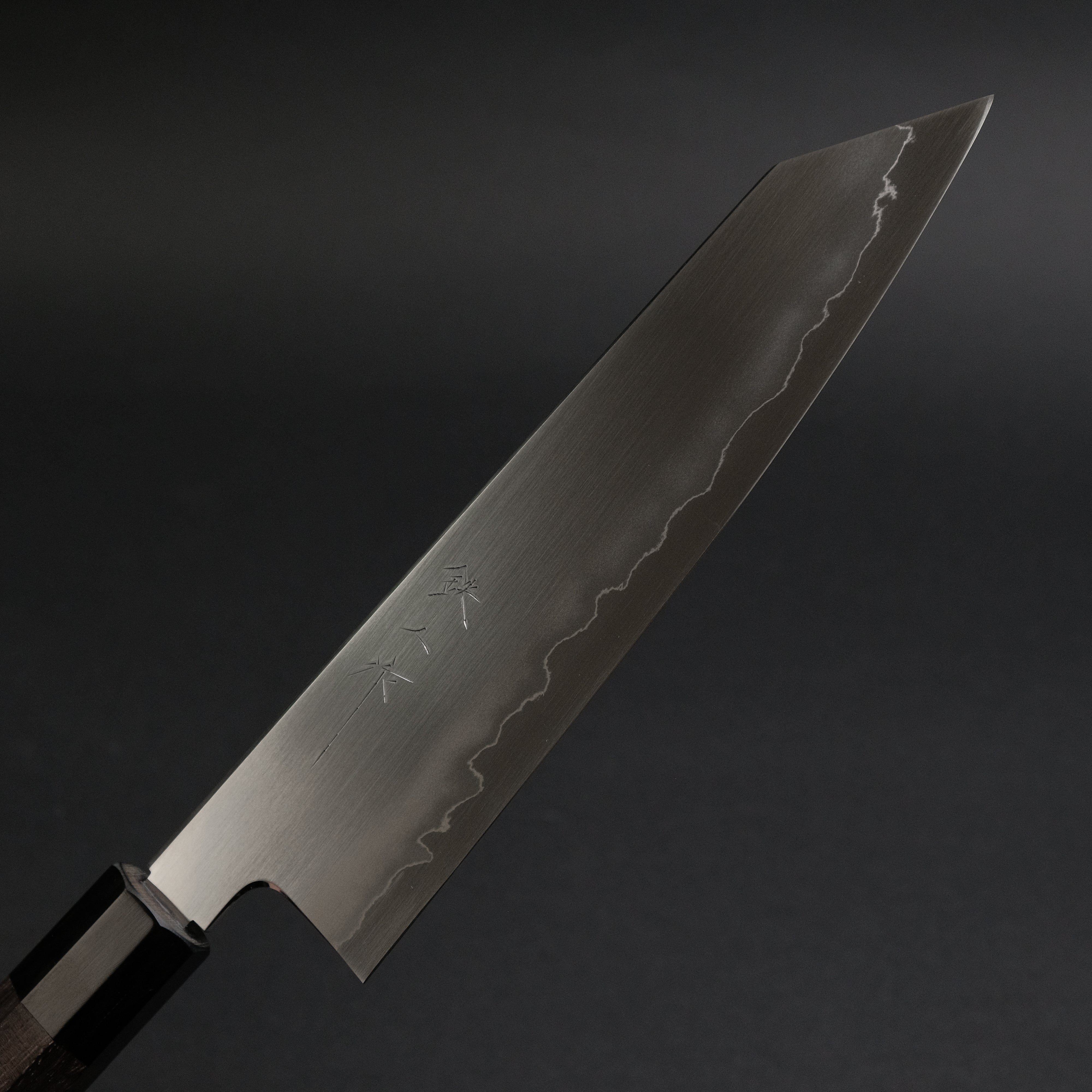 Tetsujin Silver #3 Ukiba Kiritsuke Gyuto 210mm Japanese Chef Knife with Taihei Rosewood Handle - Perfect for Sushi, Sashimi & Precision Vegetable Cutting