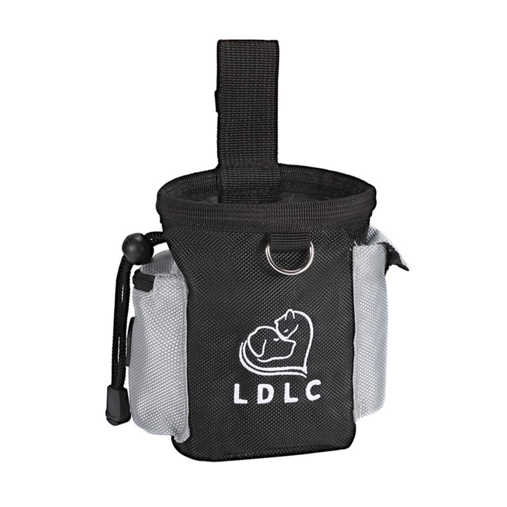 Adventure Awaits: The Perfect Companion for You and Your Furry Friend