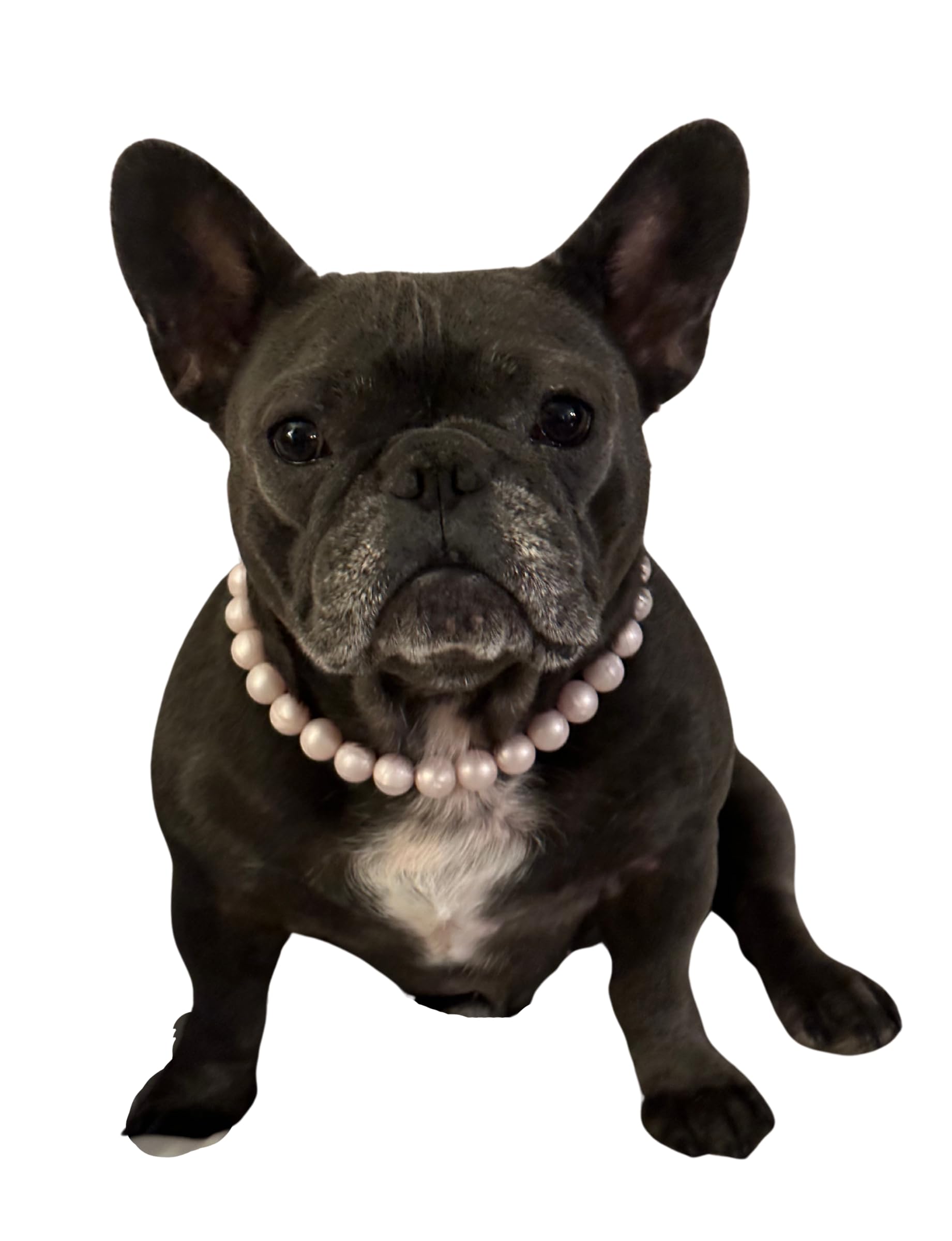 Pink Pearl Dog Necklace - Medium 16-18 Inch Solid Adjustable Pet Collar for Small Dogs - Perfect for Daily Walks, Pet Photos & Special Occasions